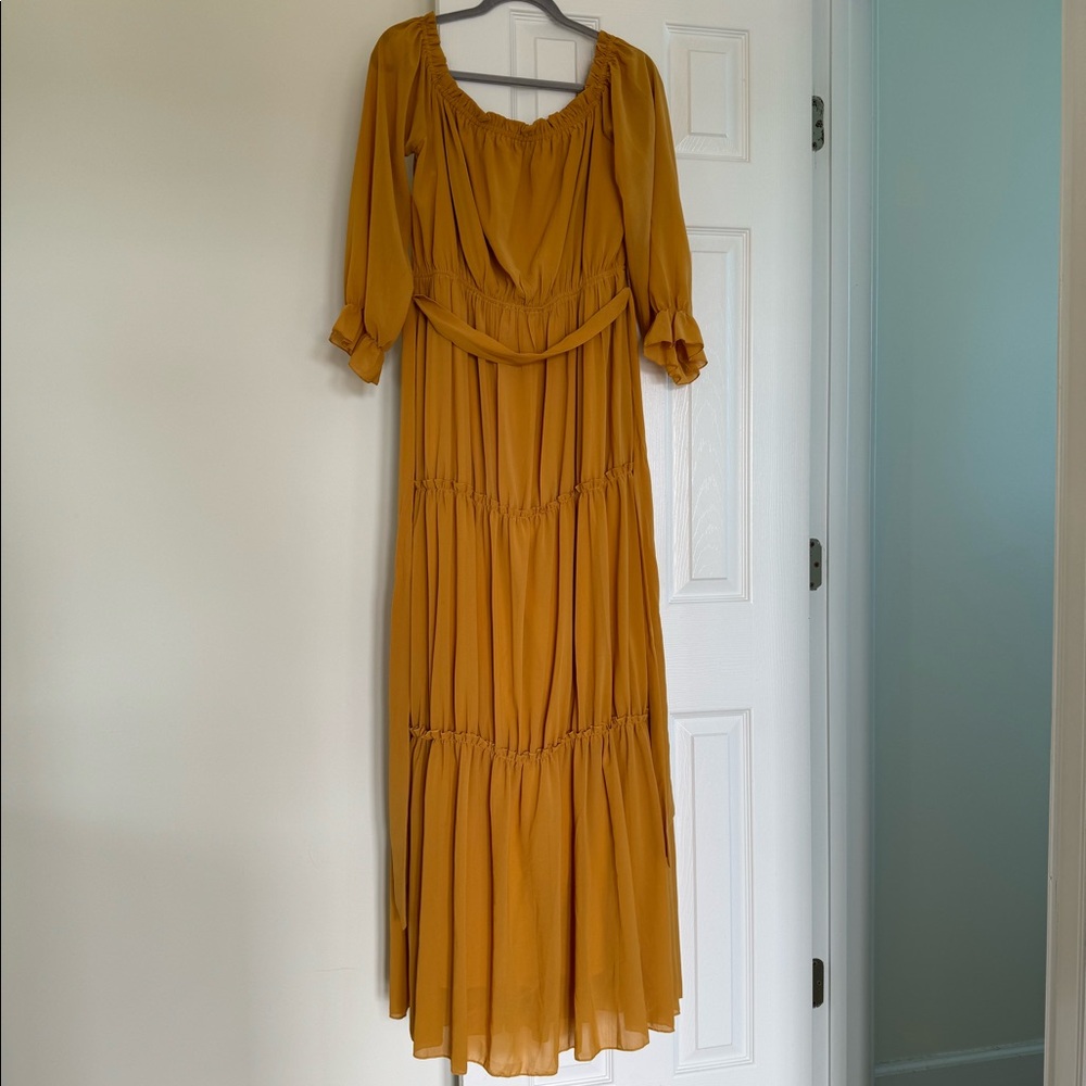 Baltic Born dress never worn